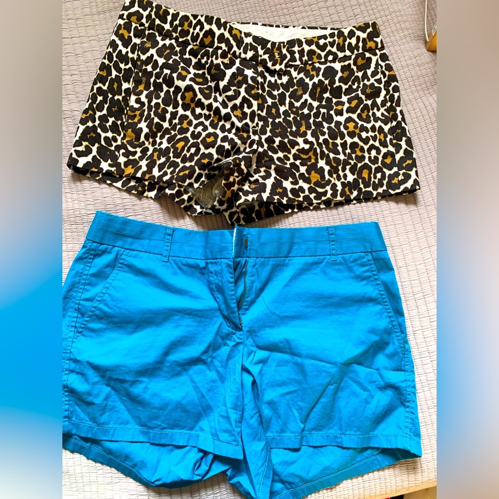 J Crew and Loft Summer Shorts Bundle